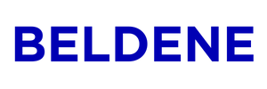 Beldene – Pioneering AI, Security Engineering, Digital Economy & Education